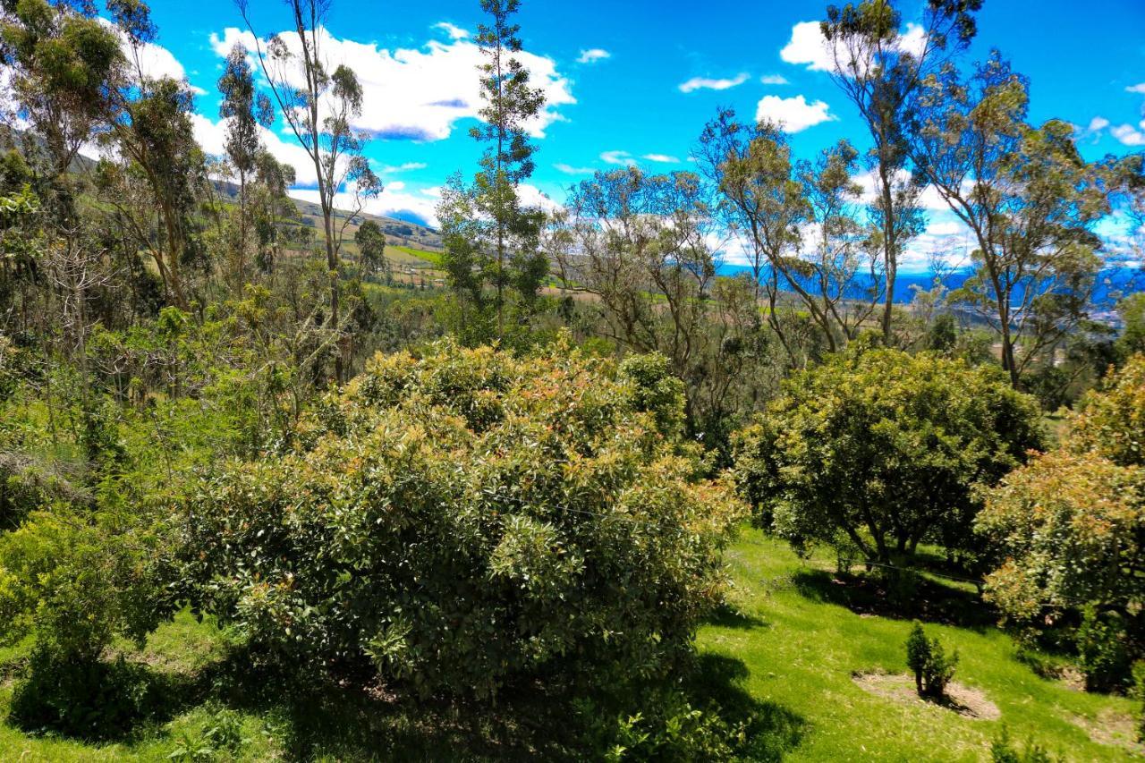 Hotel Hacienda San Isidro Trails & Experiences Cotacachi Exterior foto